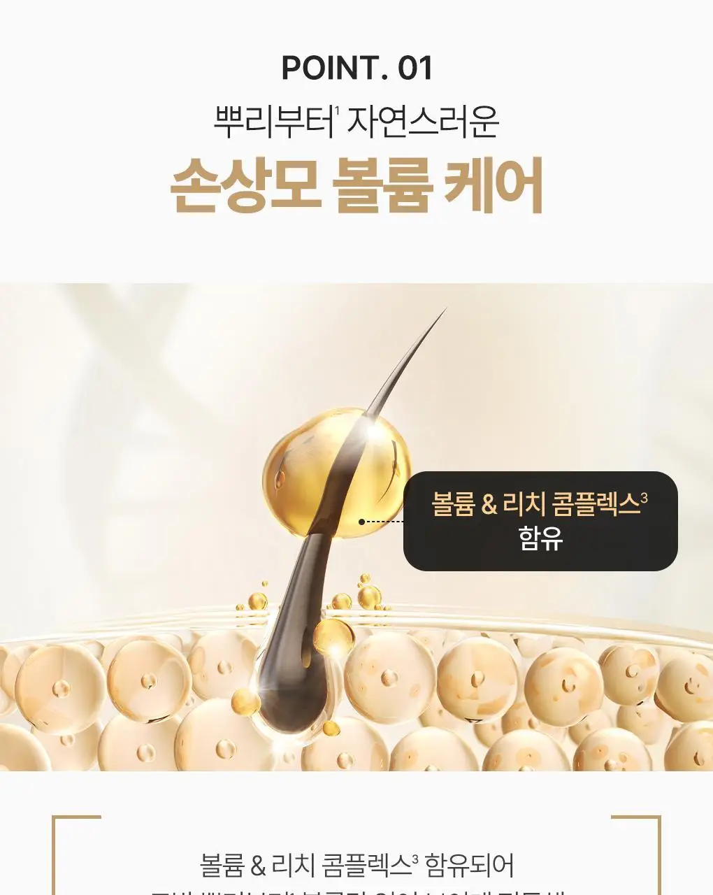 [뿌리볼륨 풀케어] 츠바키 프리미엄 볼륨 & 리페어 샴푸 컨디셔너 2종 기획 상세페이지 11